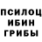 Псилоцибиновые грибы Psilocybine cubensis Svetik Semicvetik