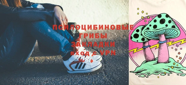 jwh Белокуриха