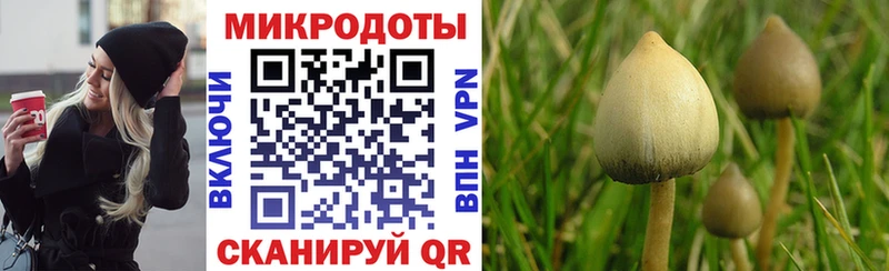 кракен как войти  shop какой сайт  Галлюциногенные грибы Magic Shrooms  Кузнецк 